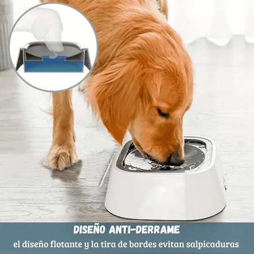 BEBEDERO DE AGUA DEMASCOTAS ANTIDERRAME - Imagen 6